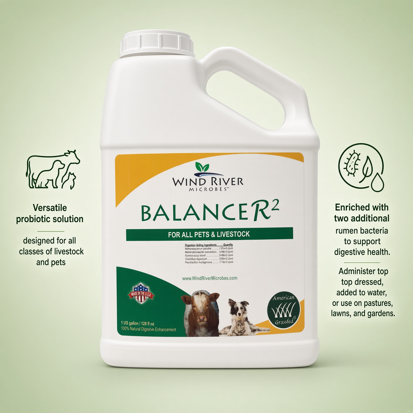 Wind River Balancer - Image 4